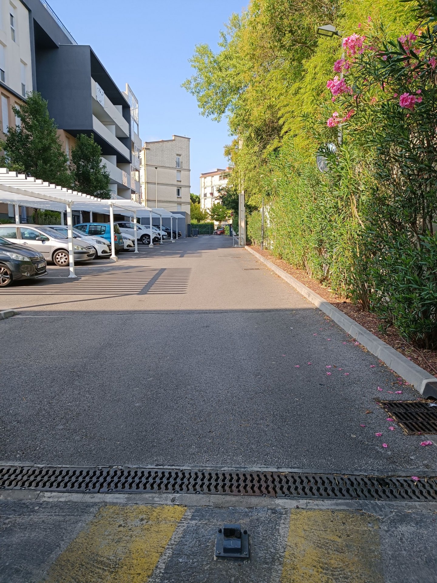 Local MONTPELLIER ARCEAUX